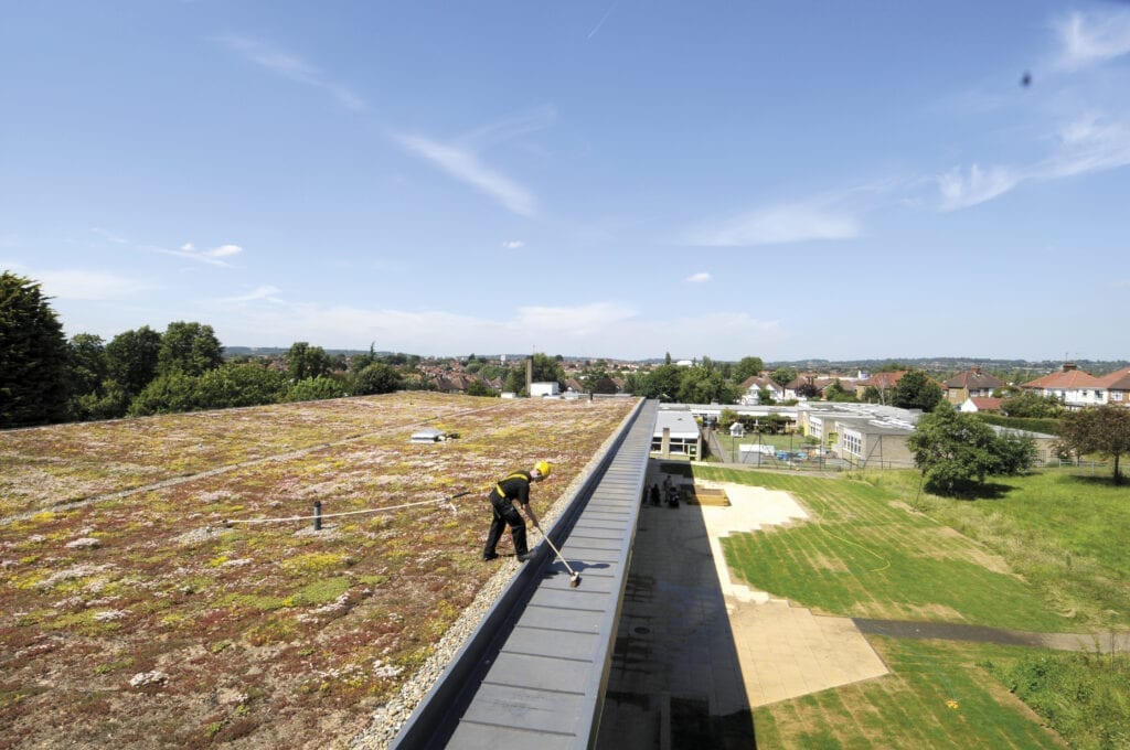 Roofing_Constant-Force-Post_Green-Roof_Green-Roof-2-1024×680